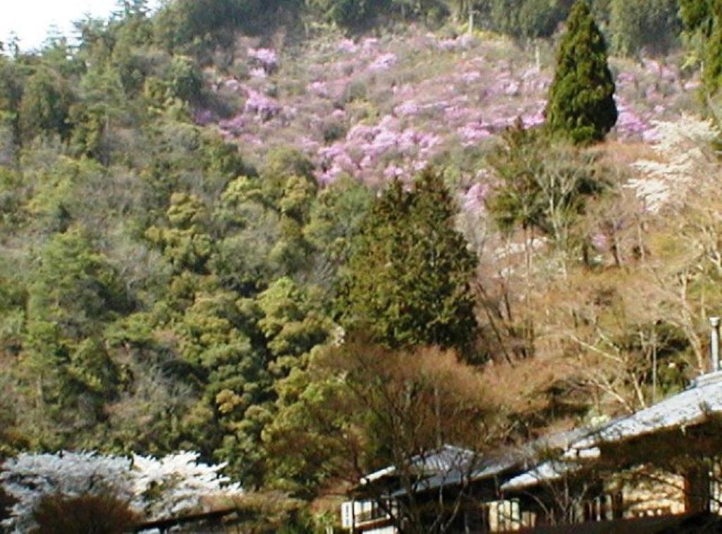 Takao Kanko Hotel Kyoto Exterior foto